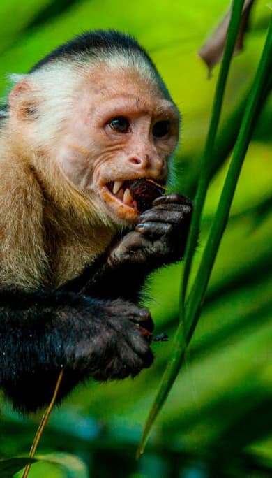Costa Rica Travel Agency