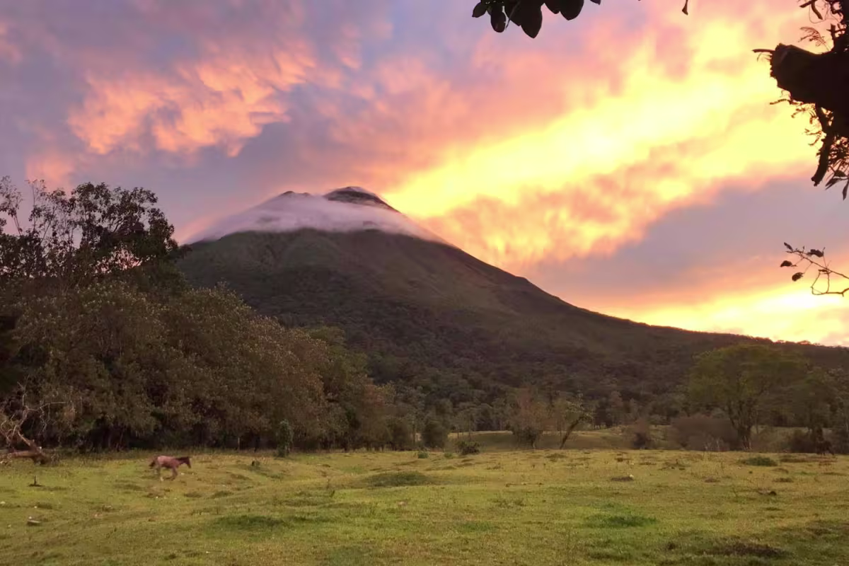Paradise Hot Springs image 85