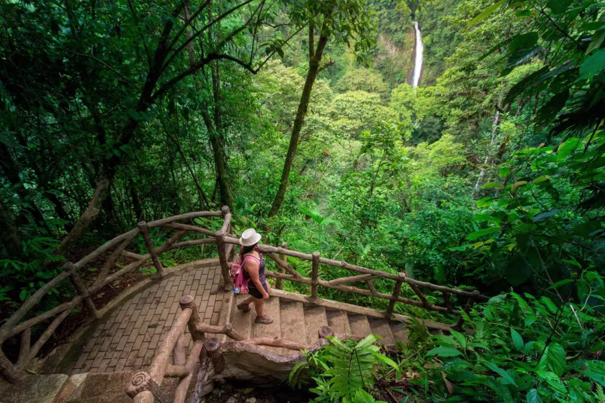 Hanging Bridges image 907