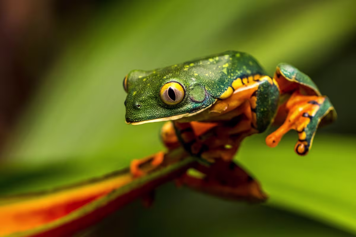 Nature by Boat image 1020
