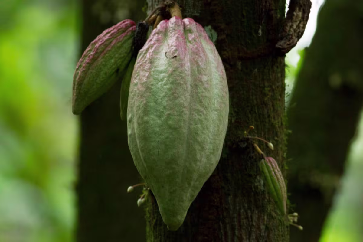 Indigenous Reserve Visit image 1053
