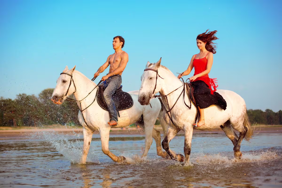 Horseback Riding image 1078