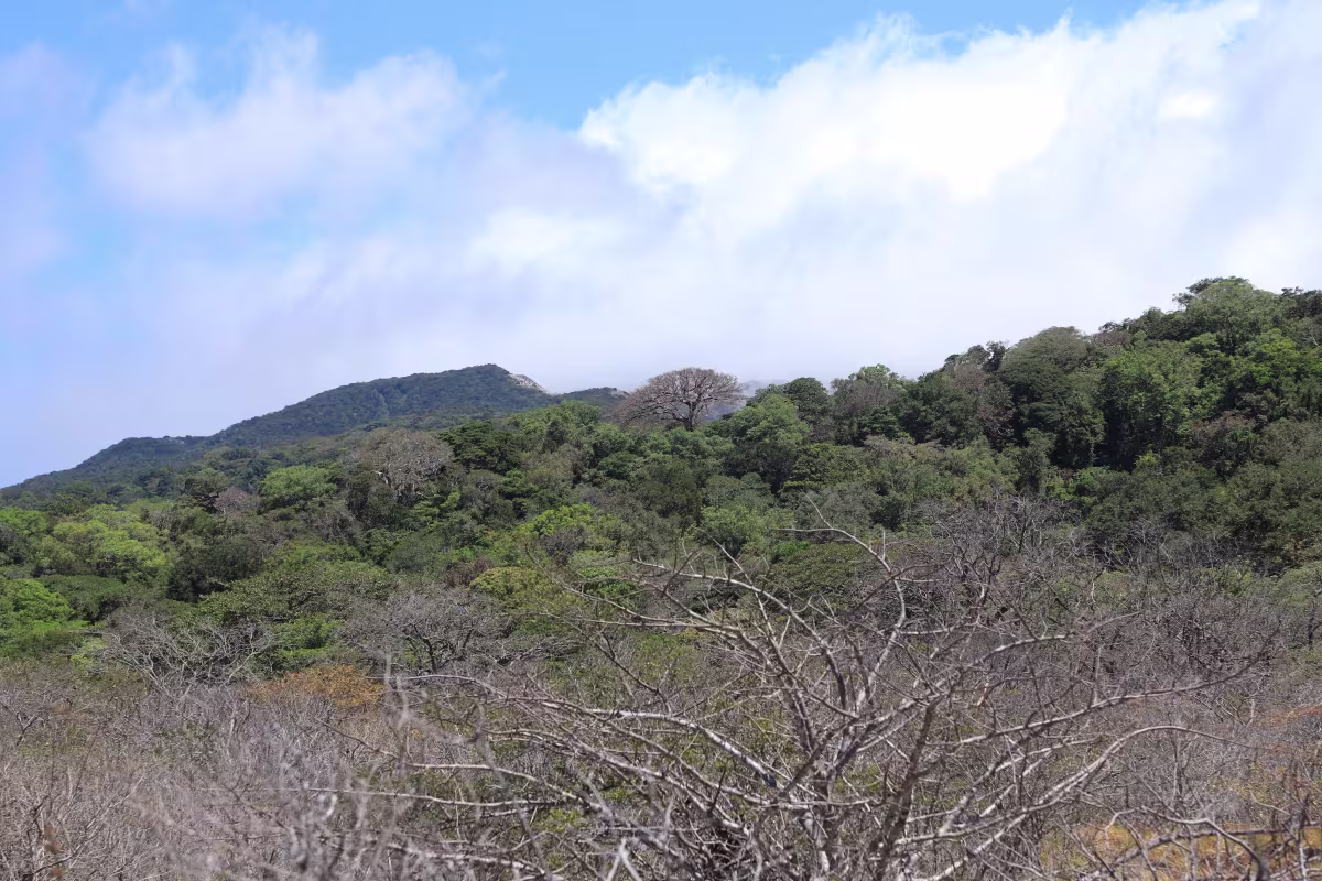 Rincón de la Vieja Volcano image 1094