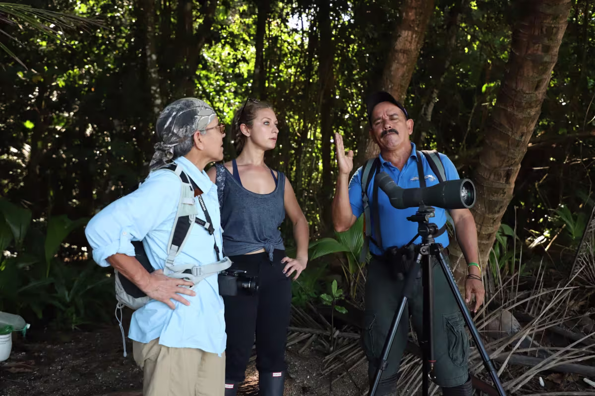 Corcovado image 1136