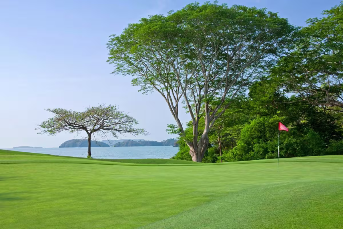 The Westin Reserva Conchal Resort and Spa image 1383