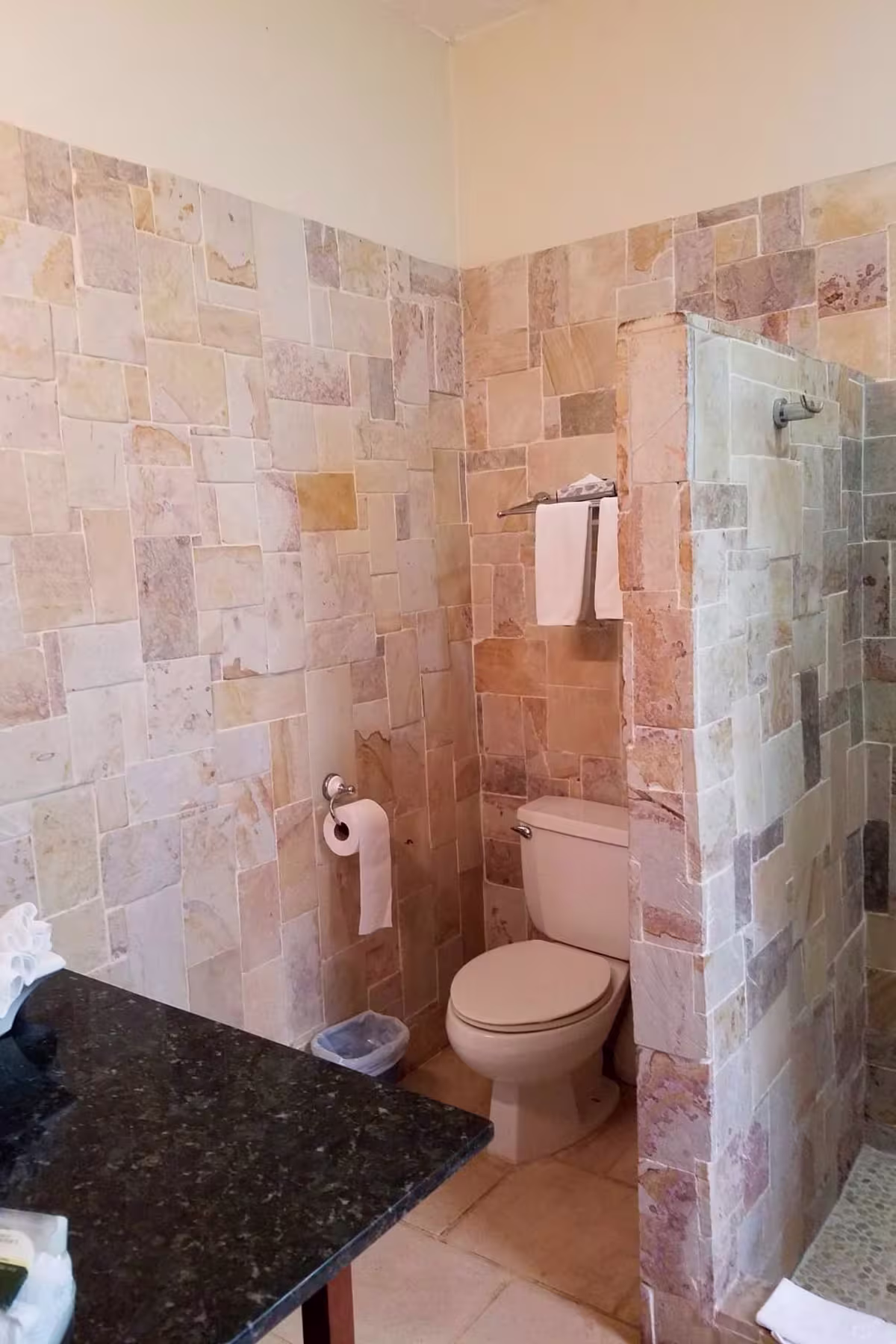 The Falls Resort image 1614