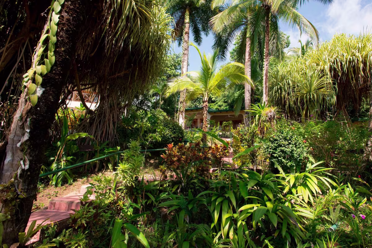 The Falls Resort image 1623