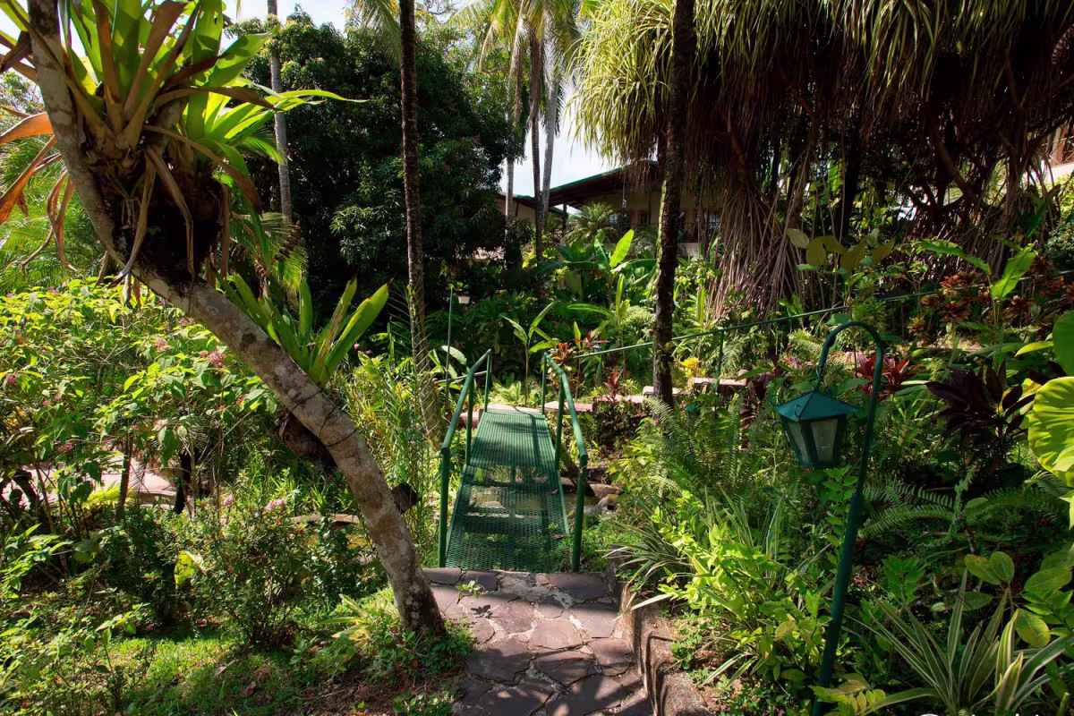 The Falls Resort image 1626