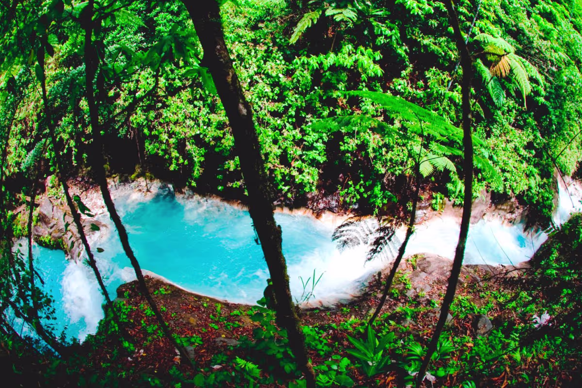 Nature Hike to Five Waterfalls At Sensoria  image 1704