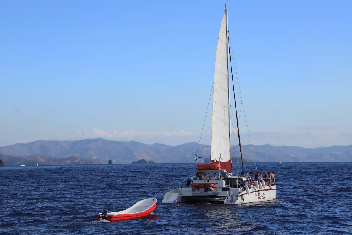 Catamaran Cruise image 1723