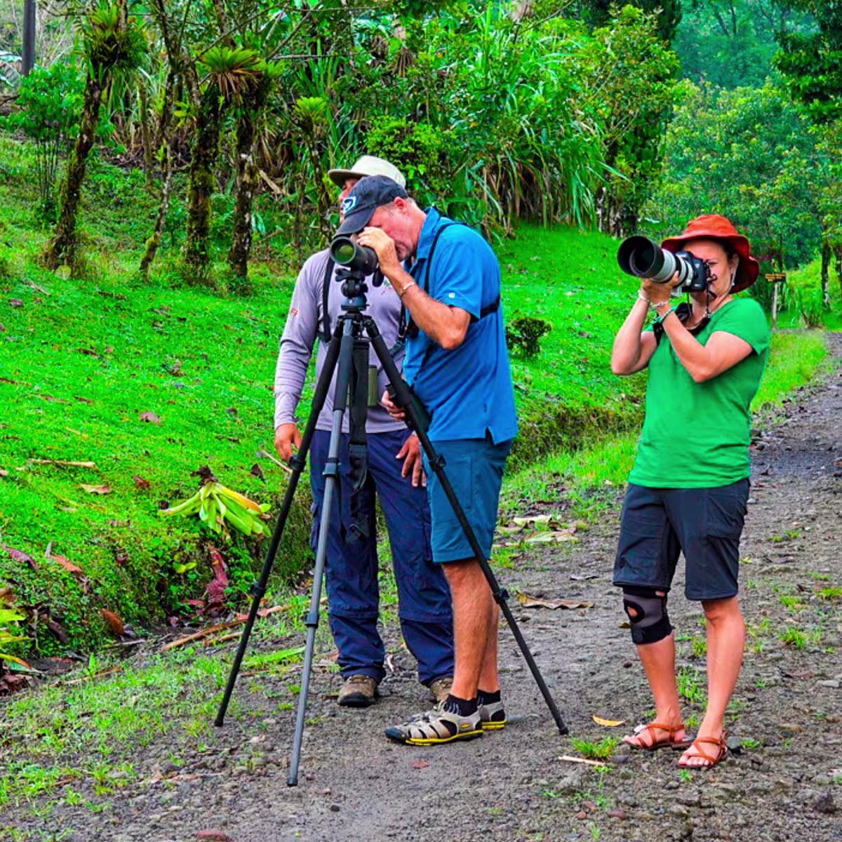 Nature by Boat image 1732