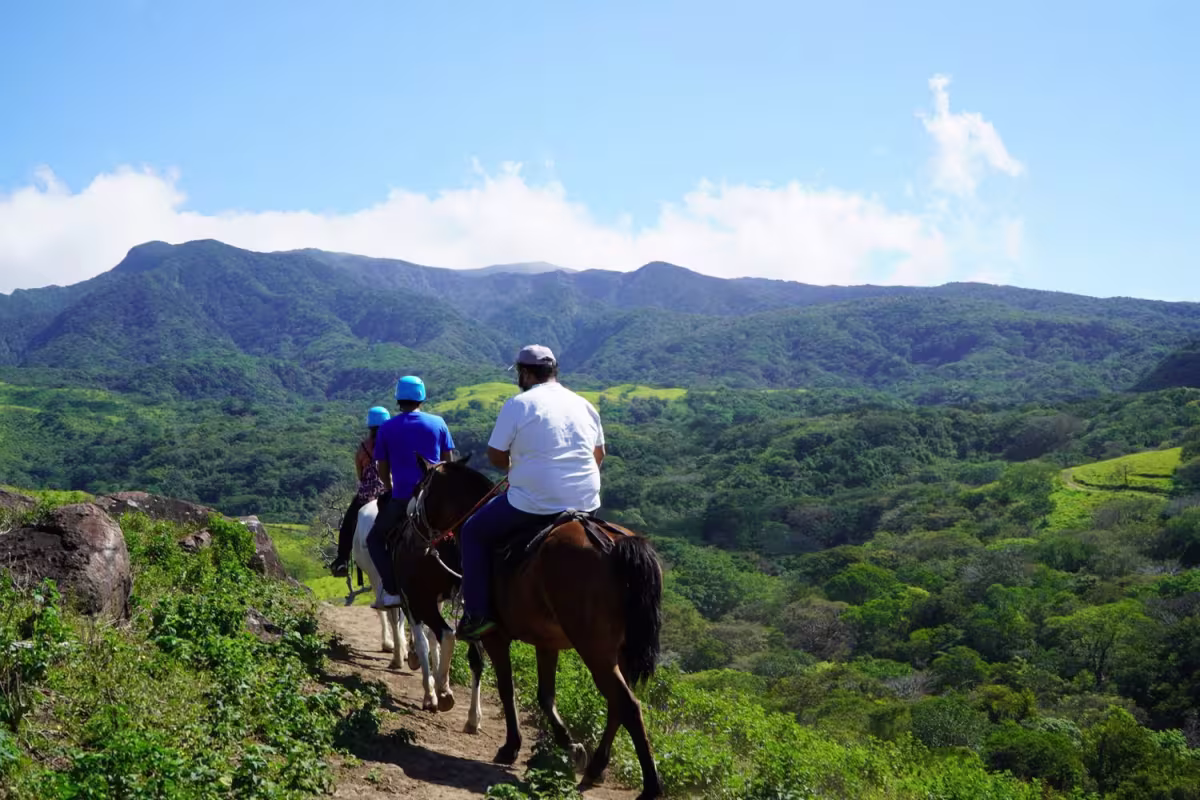 Horseback Riding image 1910
