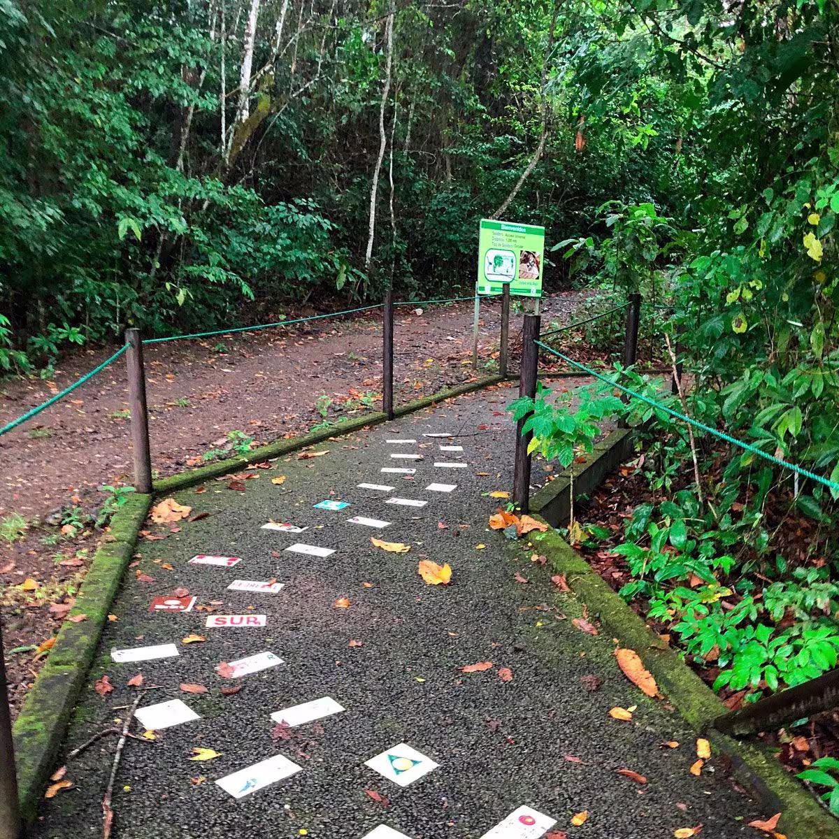 Guided Hike through Carara National Park  image 1924