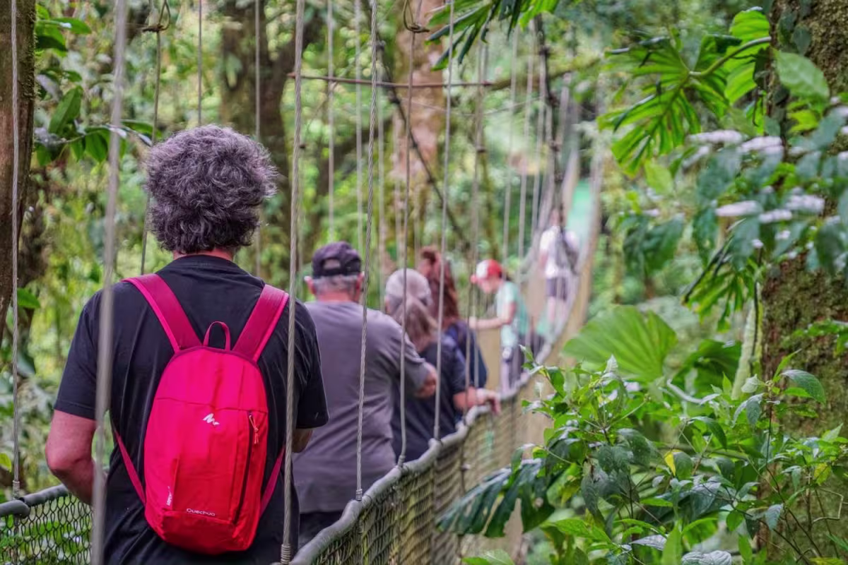 Hanging Bridges image 2027