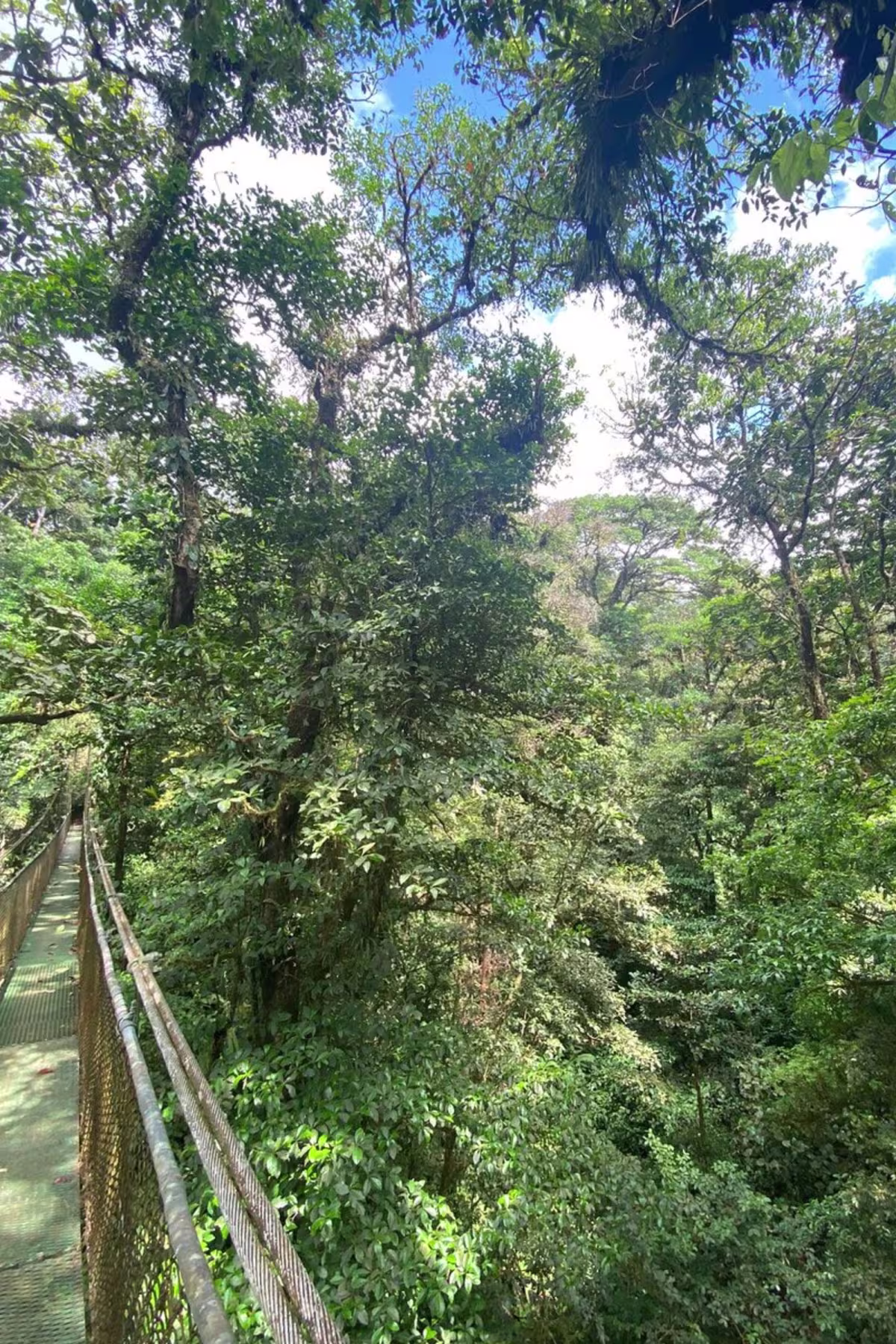 Hanging Bridges image 2035