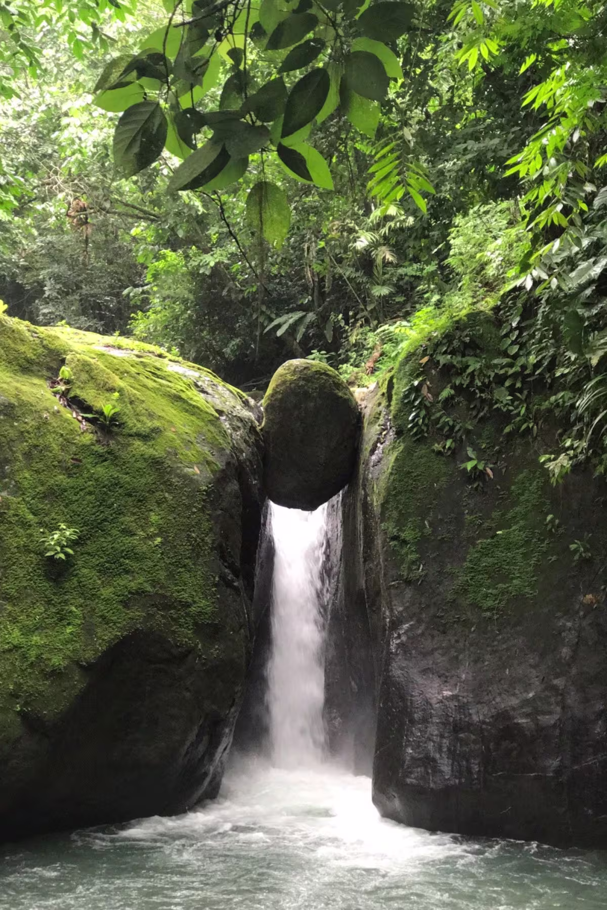 Waterfalls and Jungle Slides image 2065