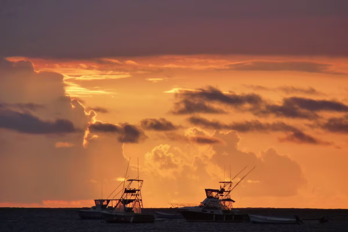 Playa Langosta image 2095