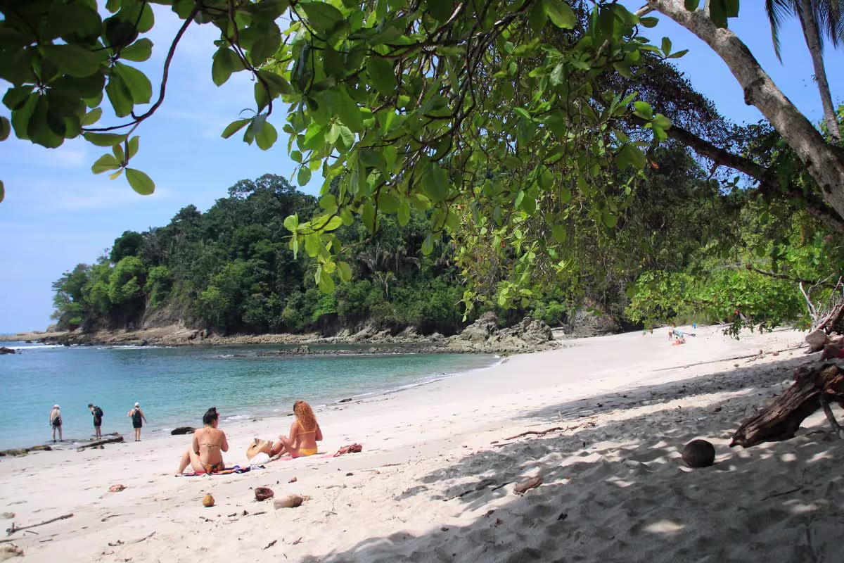 Manuel Antonio National Park image 2431