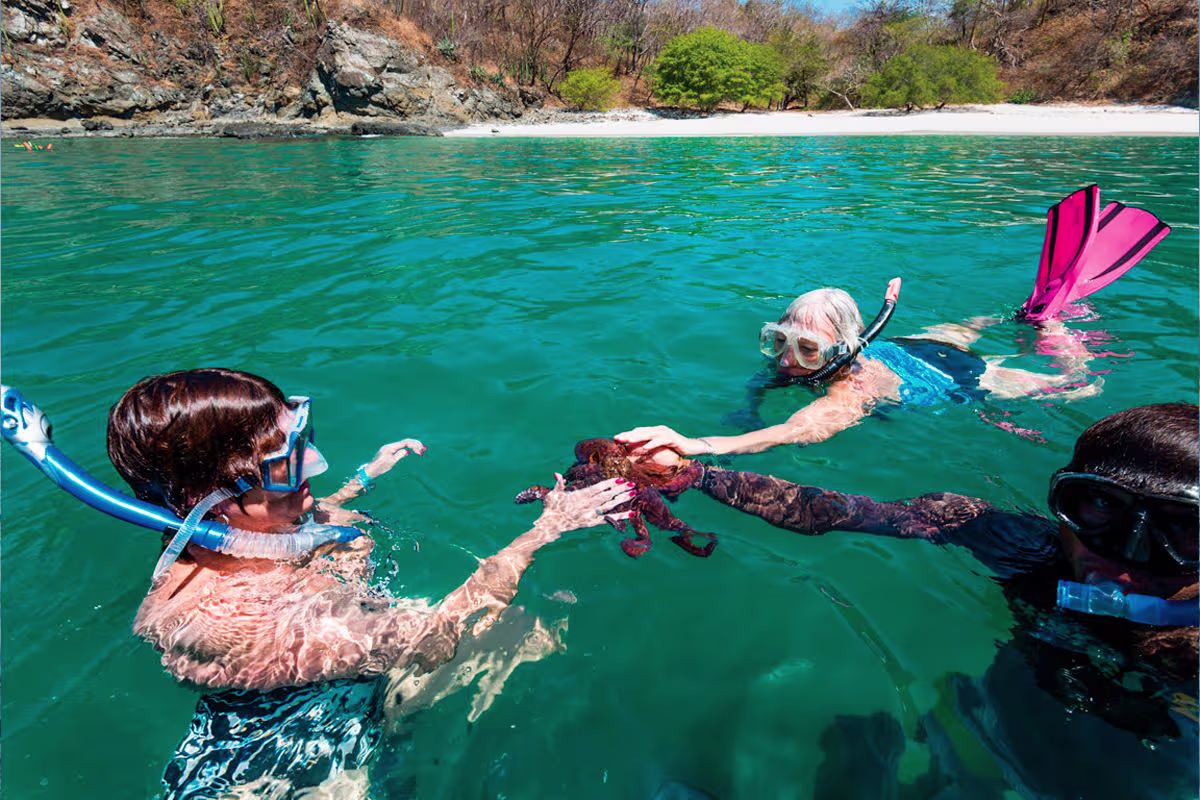 Playa Tambor image 2509
