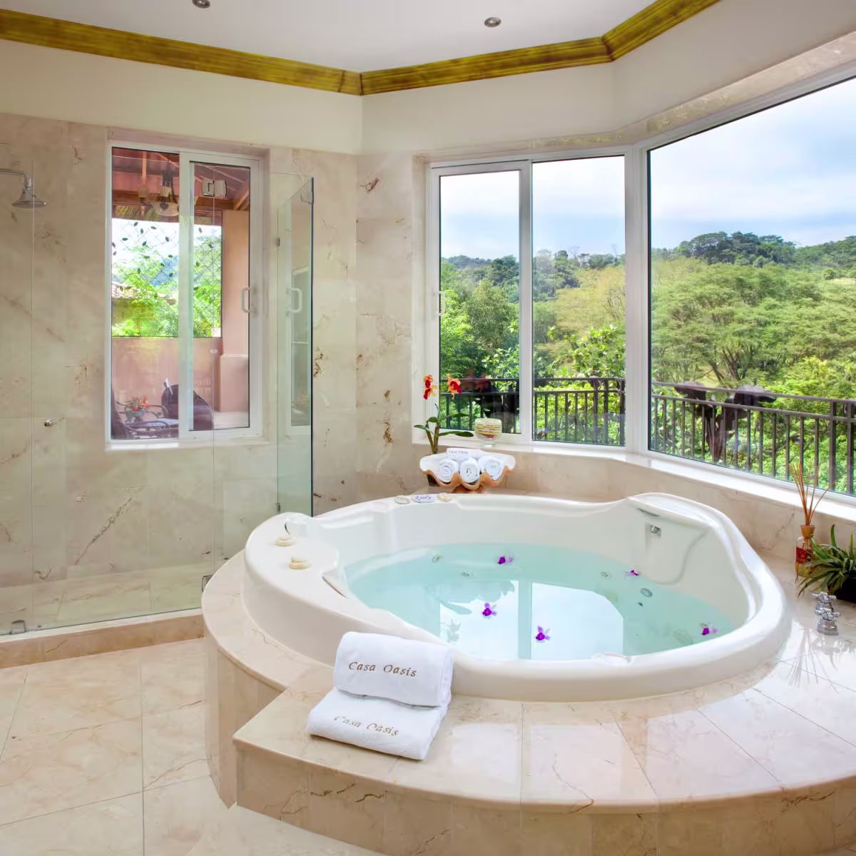 Casa Oasis image 2537