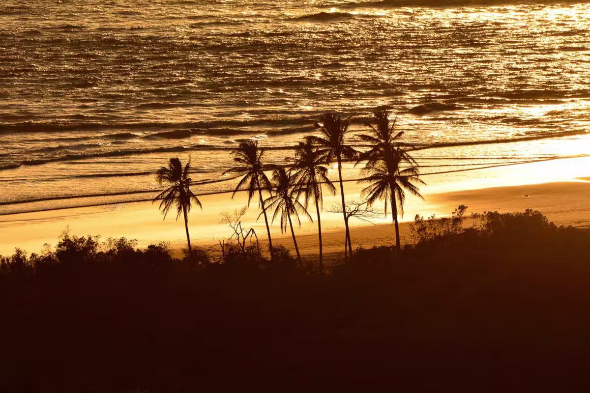 Green House 2 image 2596