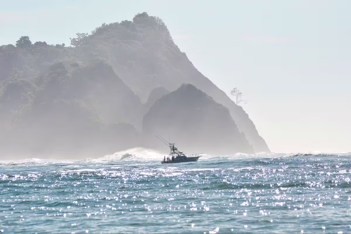 Green House 2 image 2598