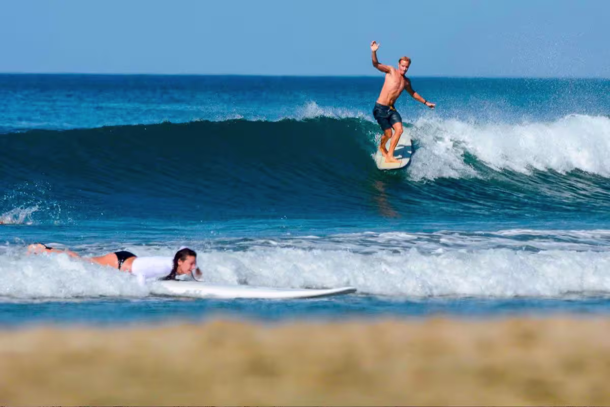 Green House 2 image 2602