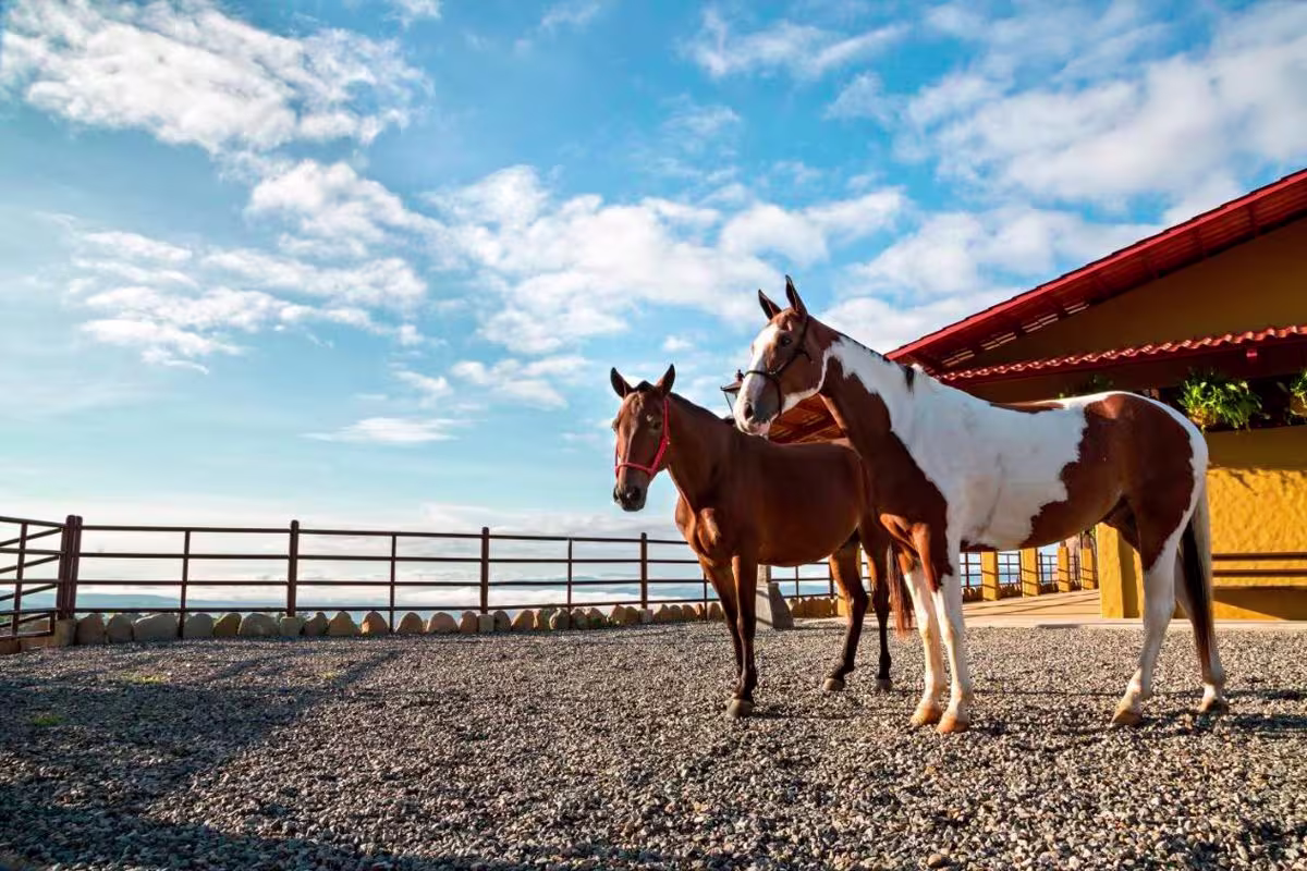 Hacienda AltaGracia image 2990