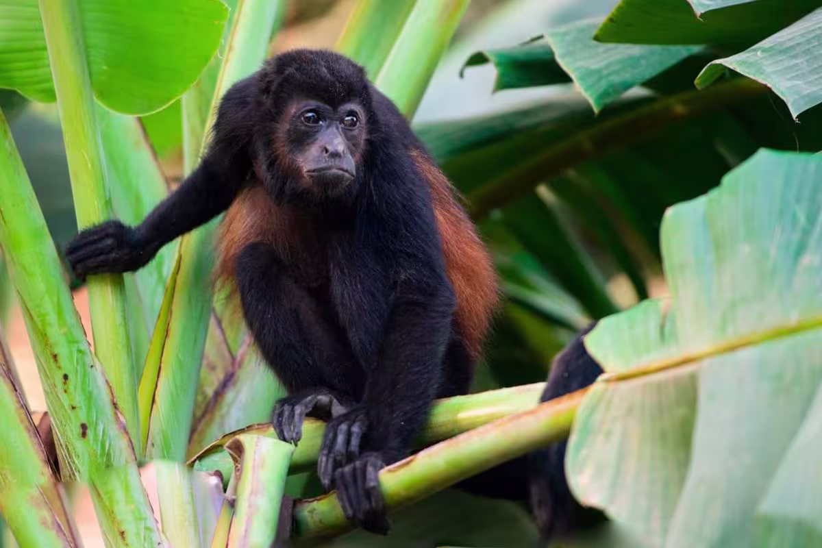 The Coast Hotel image 3536