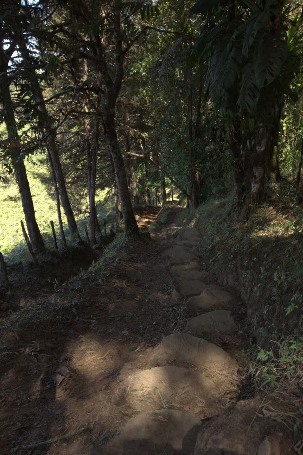 Chirripó - The Highest Mountain Peak of Costa Rica image 4051