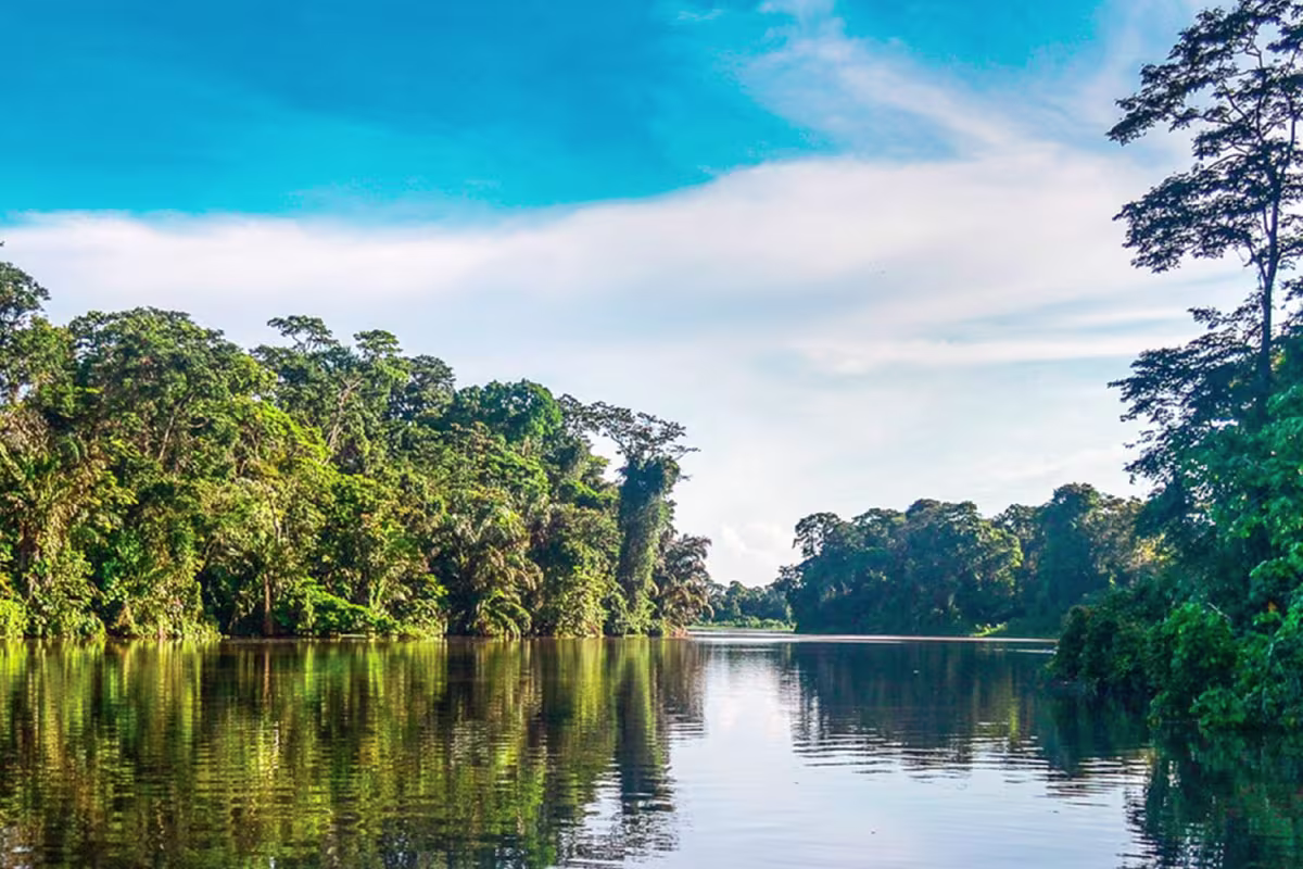 Nature by Boat image 4080