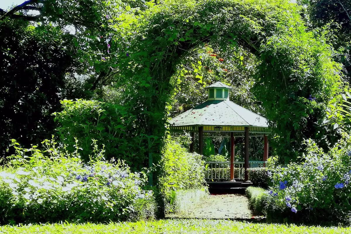 Casa Turire image 4580