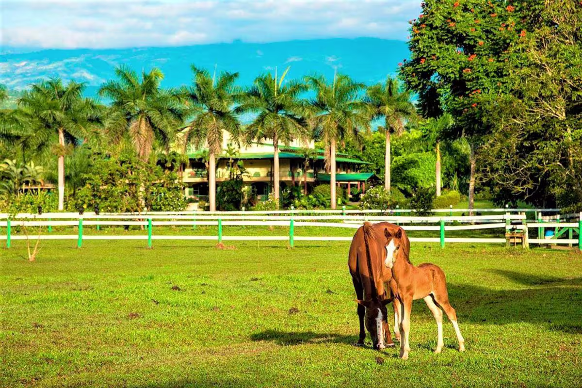 Casa Turire image 4582