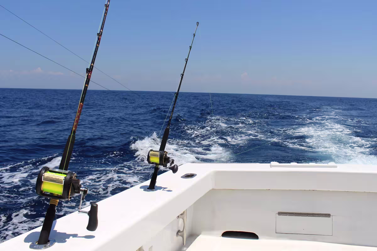 Deep Sea or Inshore Sportfishing  image 4775