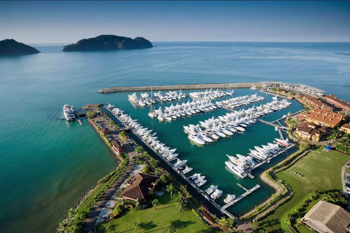 Casa Tropical image 4823