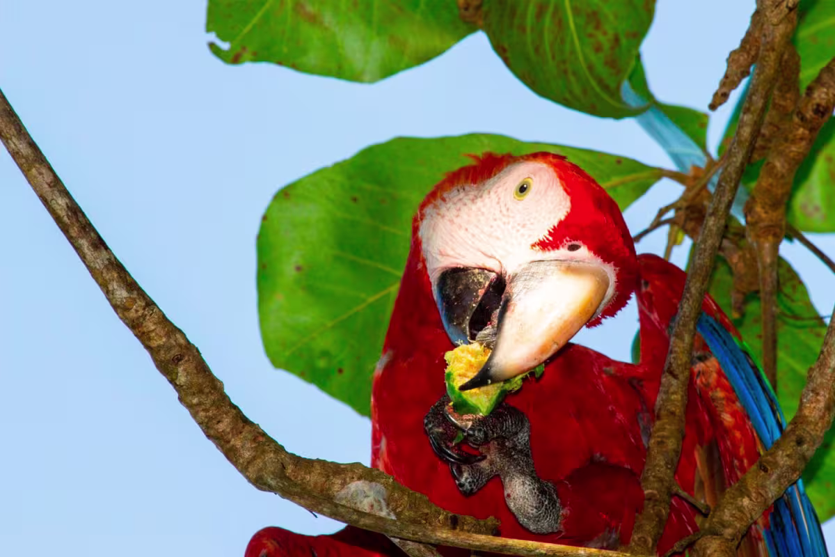 Casa Tropical image 4822