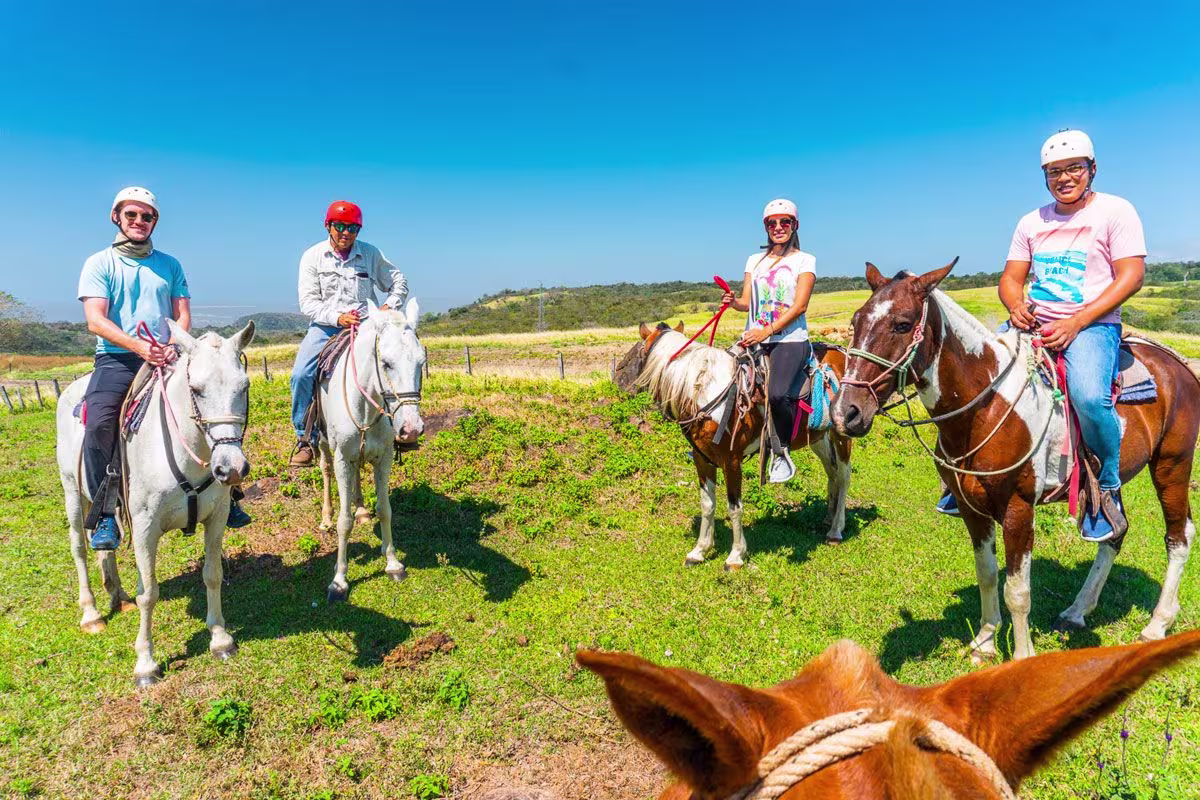 Horseback Riding image 5014