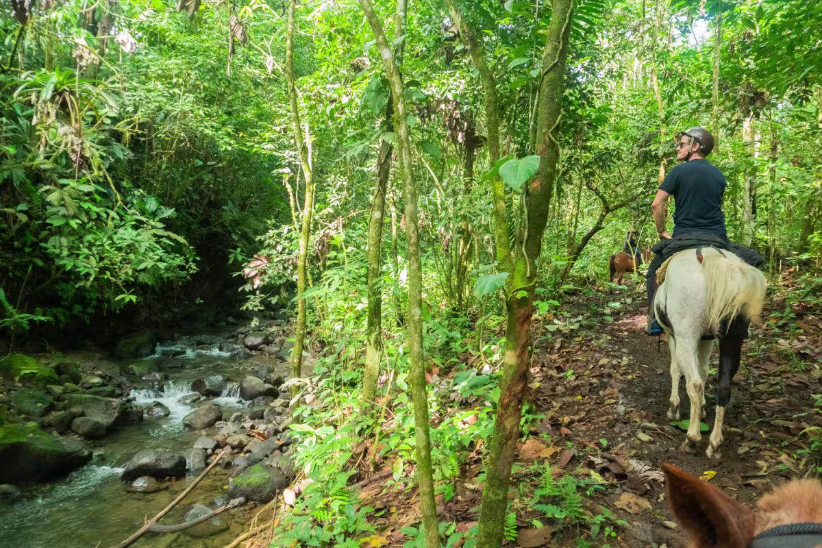 Horseback Riding image 5016