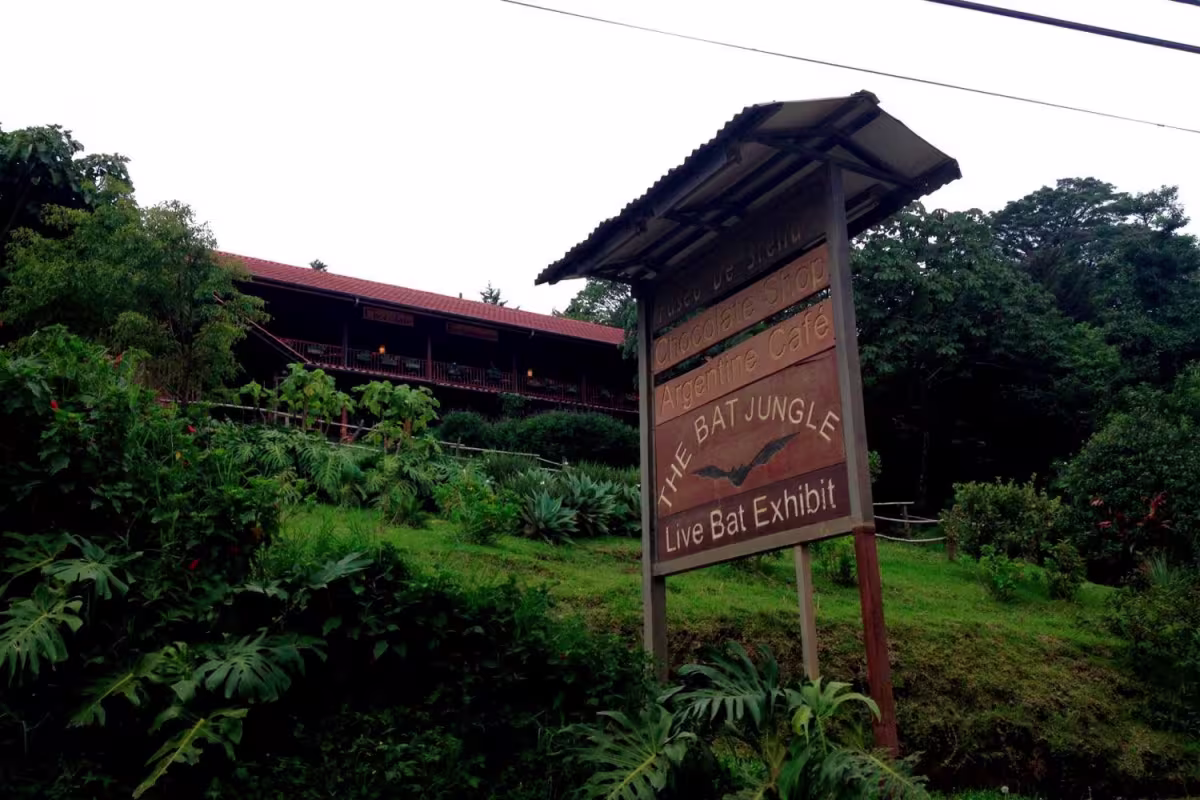 Bat Jungle Exhibit image 5090