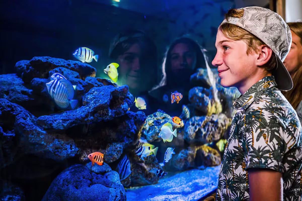 Villa Sozo image 5285