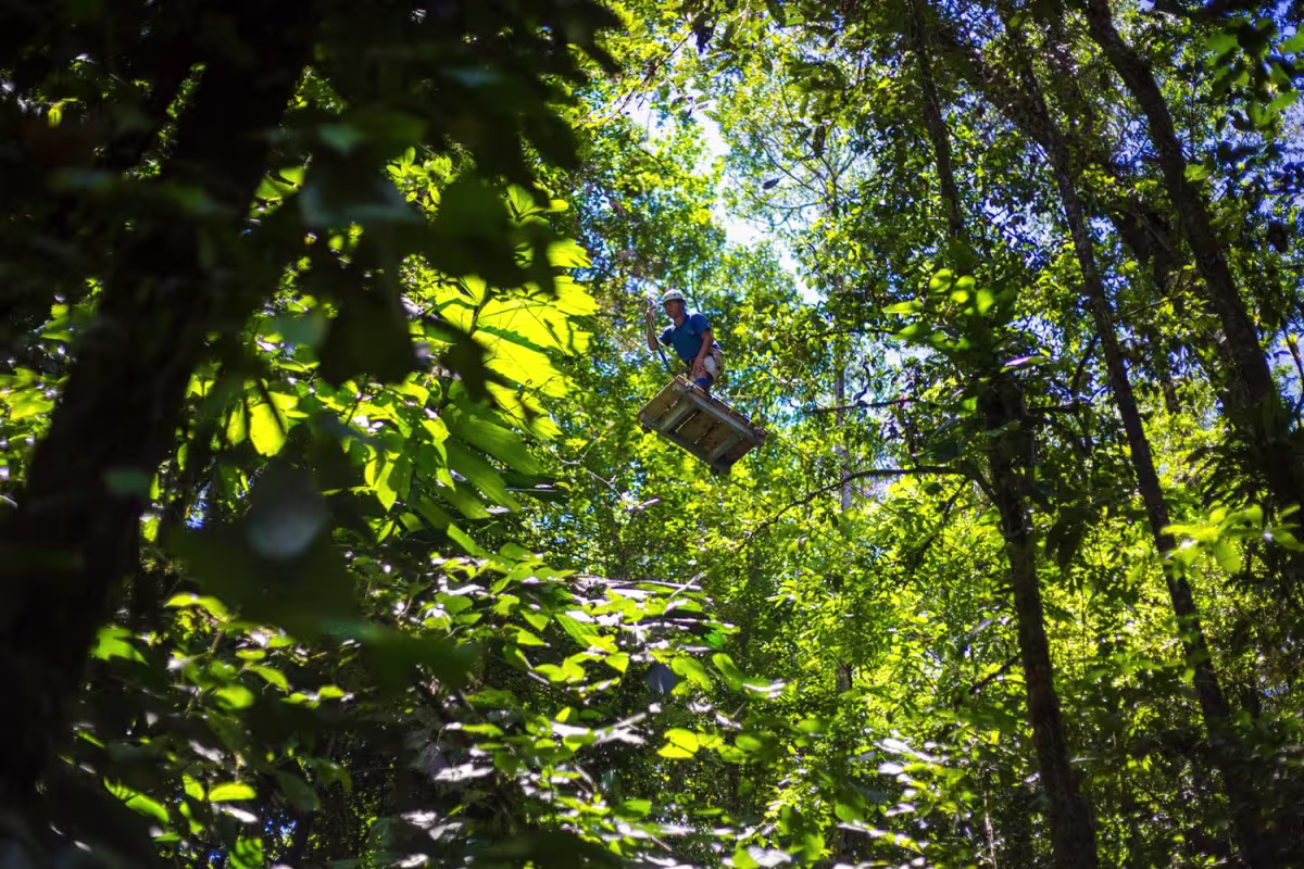 Pacuare Lodge image 5812
