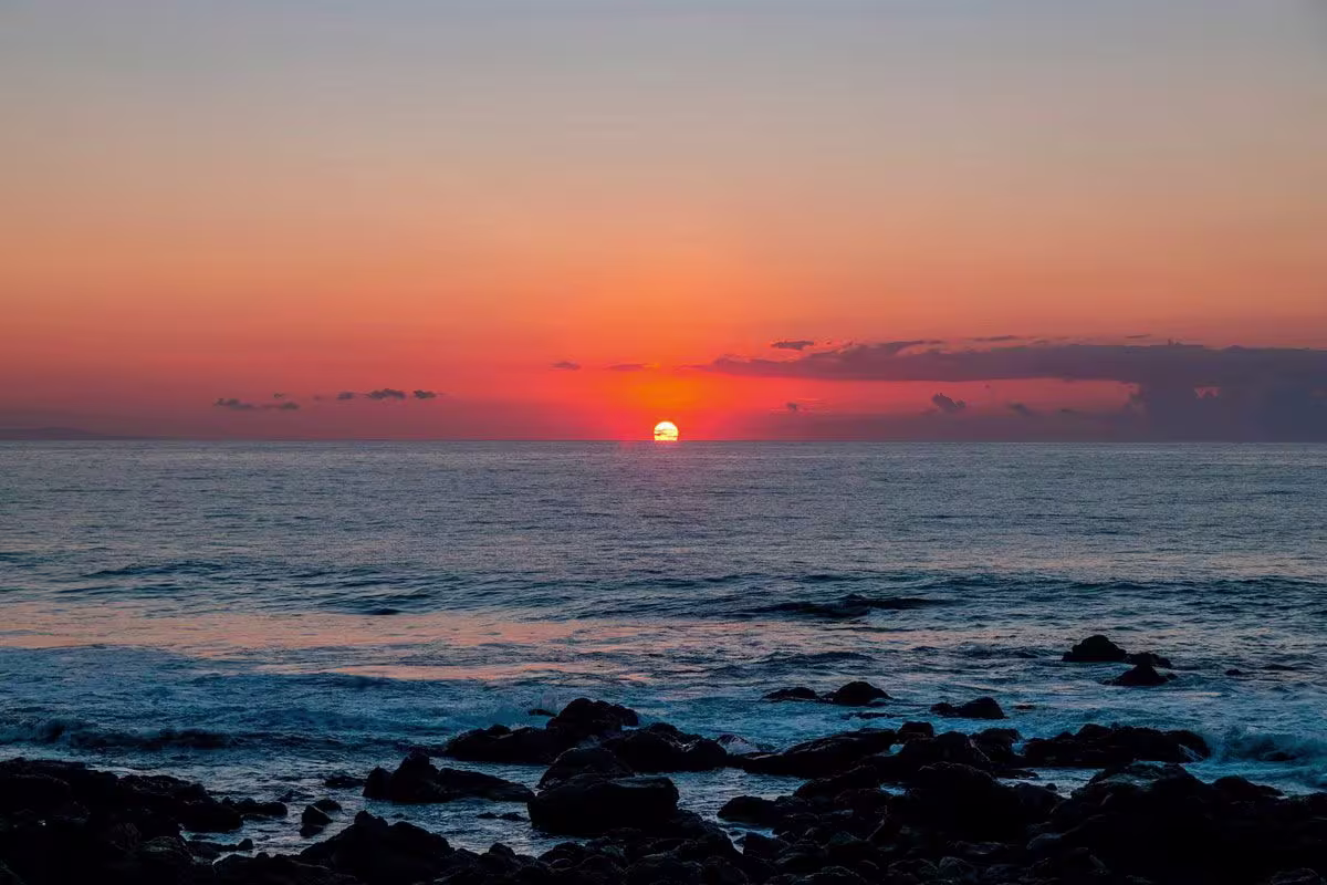 Nya Hotel image 5997