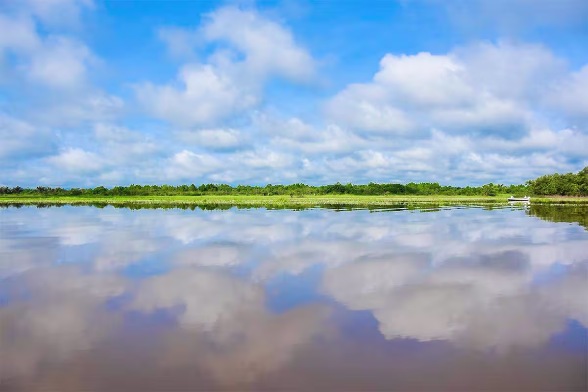 Nature by Boat image 6010