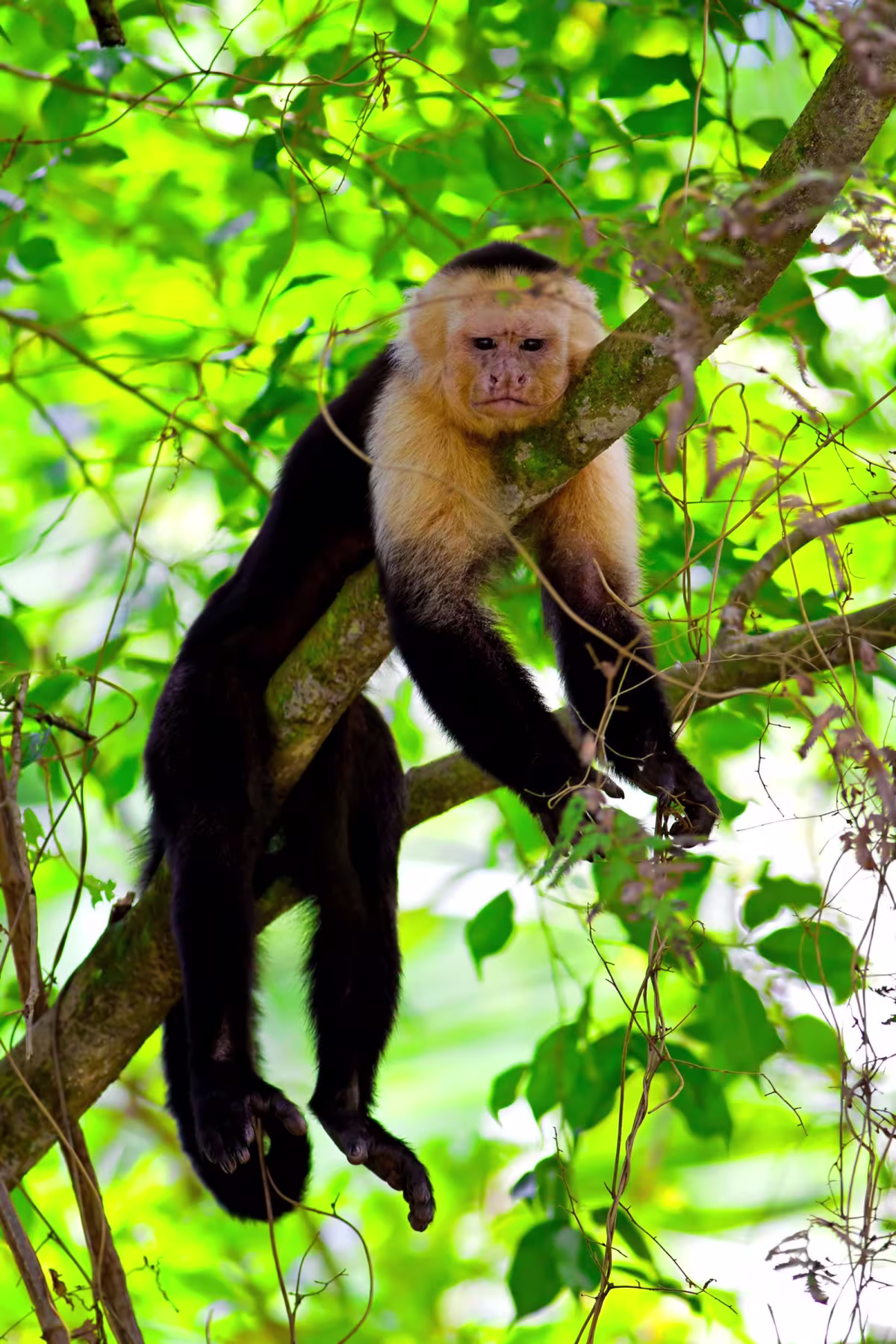 Nature by Boat image 6018