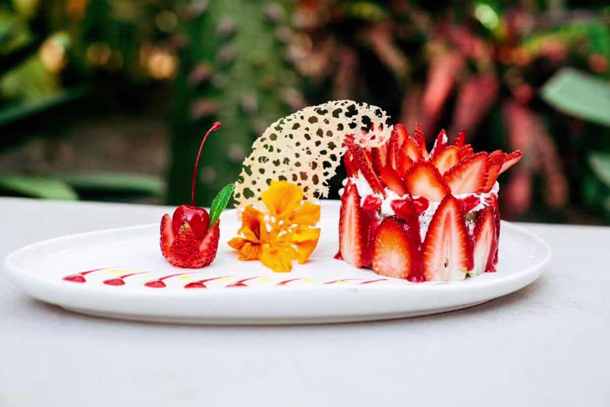 Mother Earth Vegan Hotel image 6231