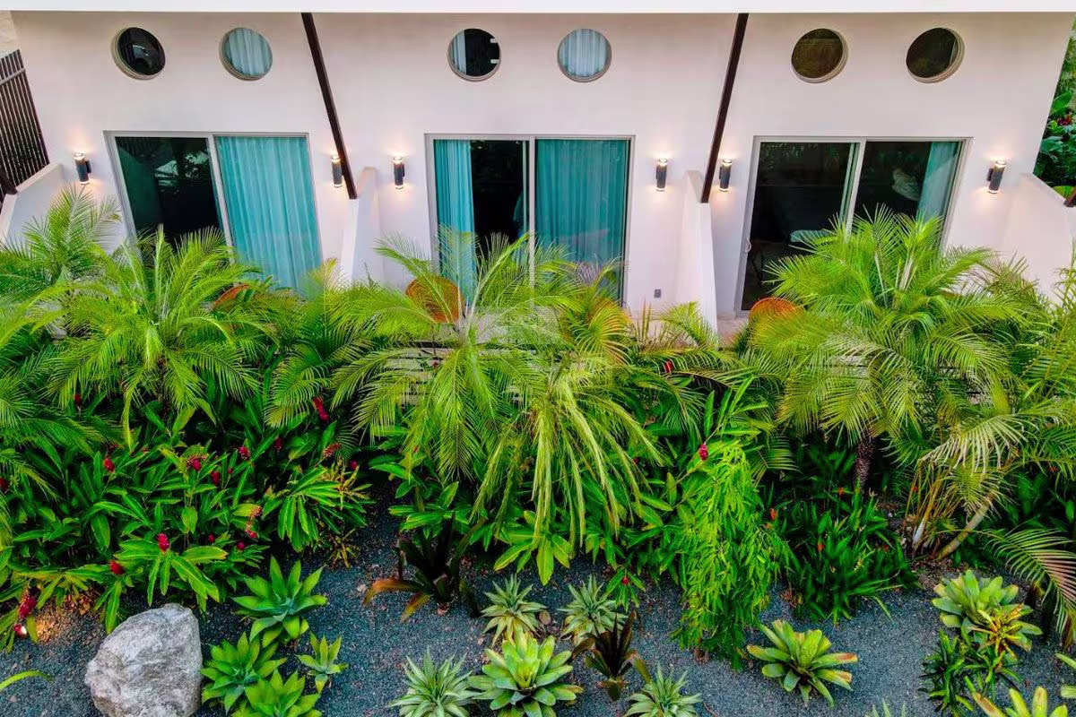 Mother Earth Vegan Hotel image 6240