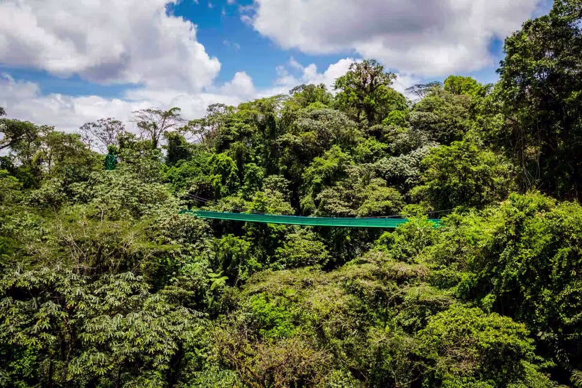 Hanging Bridges image 6626