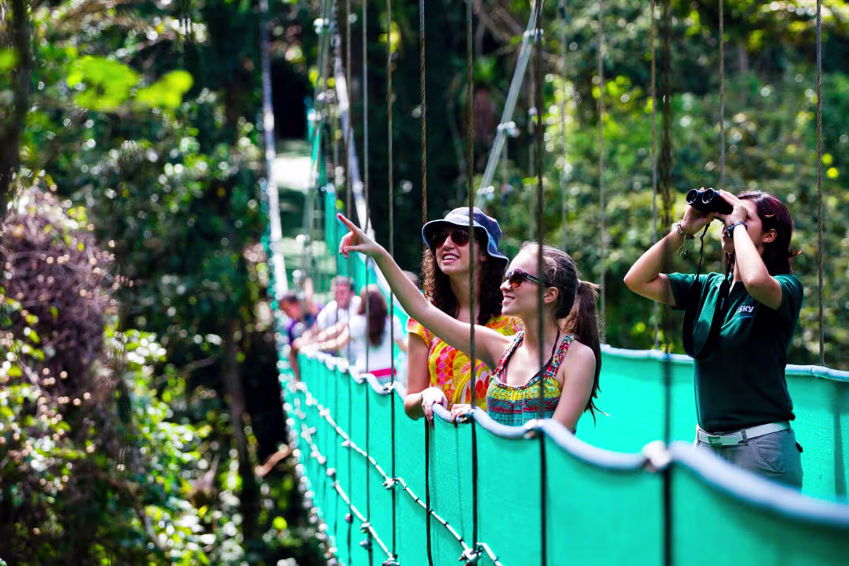 Hanging Bridges image 6632