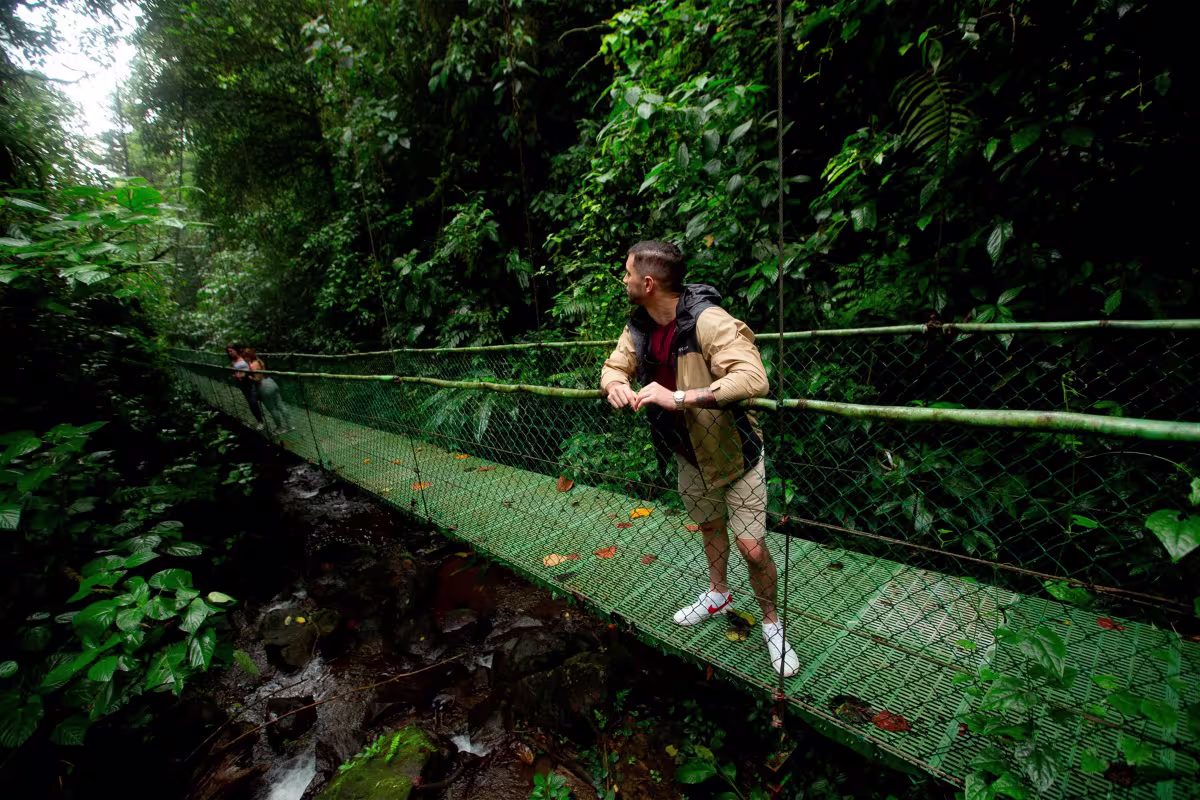 Hanging Bridges image 6630