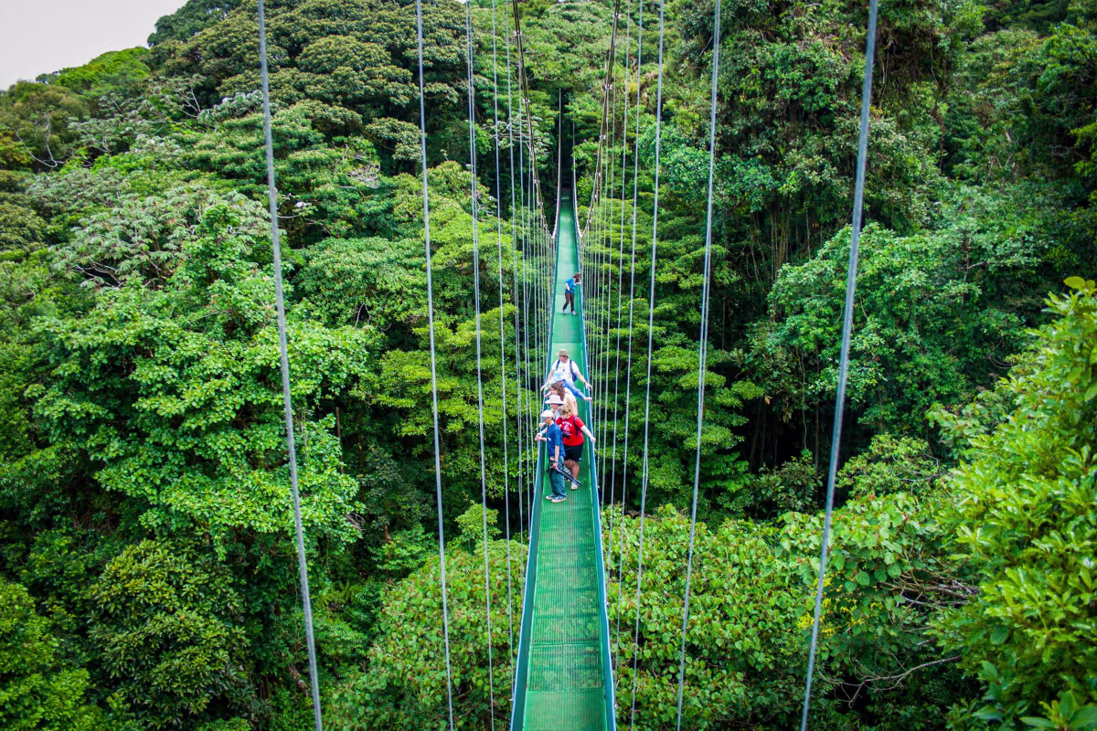 Hanging Bridges image 6635